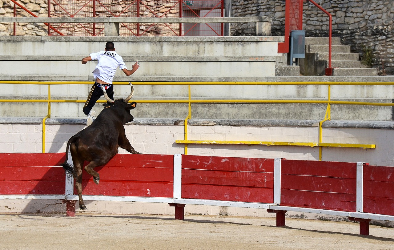 焦点