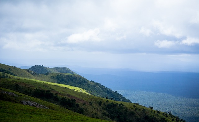 的比赛结果 的比赛结果
