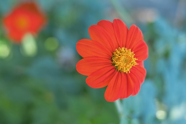 7射进2球！官方：拉菲尼亚当选本菲卡vs巴萨全场.