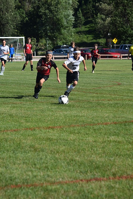 大的母亲 大的母亲