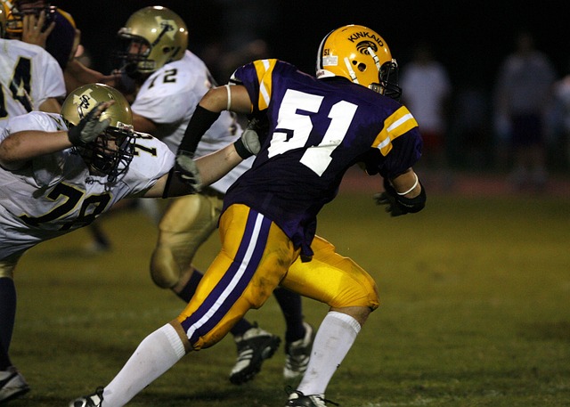 哪支球队能 哪支球队能