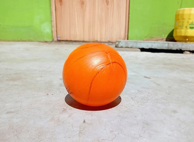 适应能力 适应能力